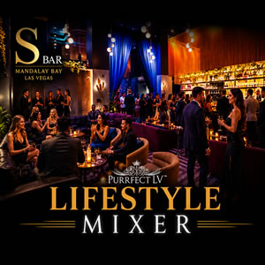 Las Vegas Swinger Party 